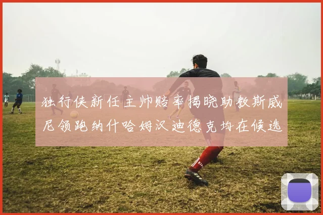 独行侠新任主帅赔率揭晓助教斯威尼领跑纳什哈姆汉迪德克均在候选之中